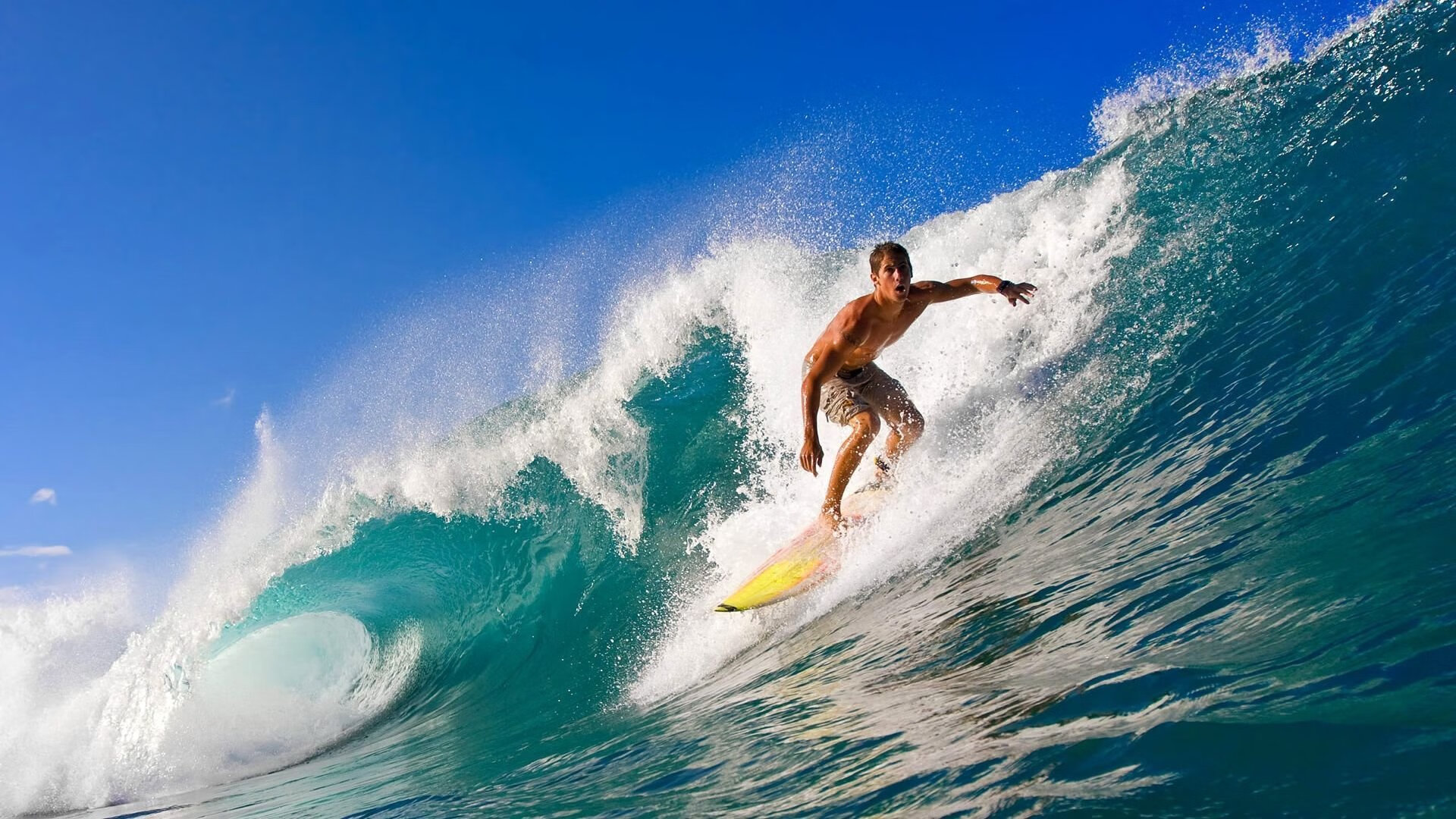 关键时刻的应急方案:技术人员的智慧,应急预案里的关键要素是指